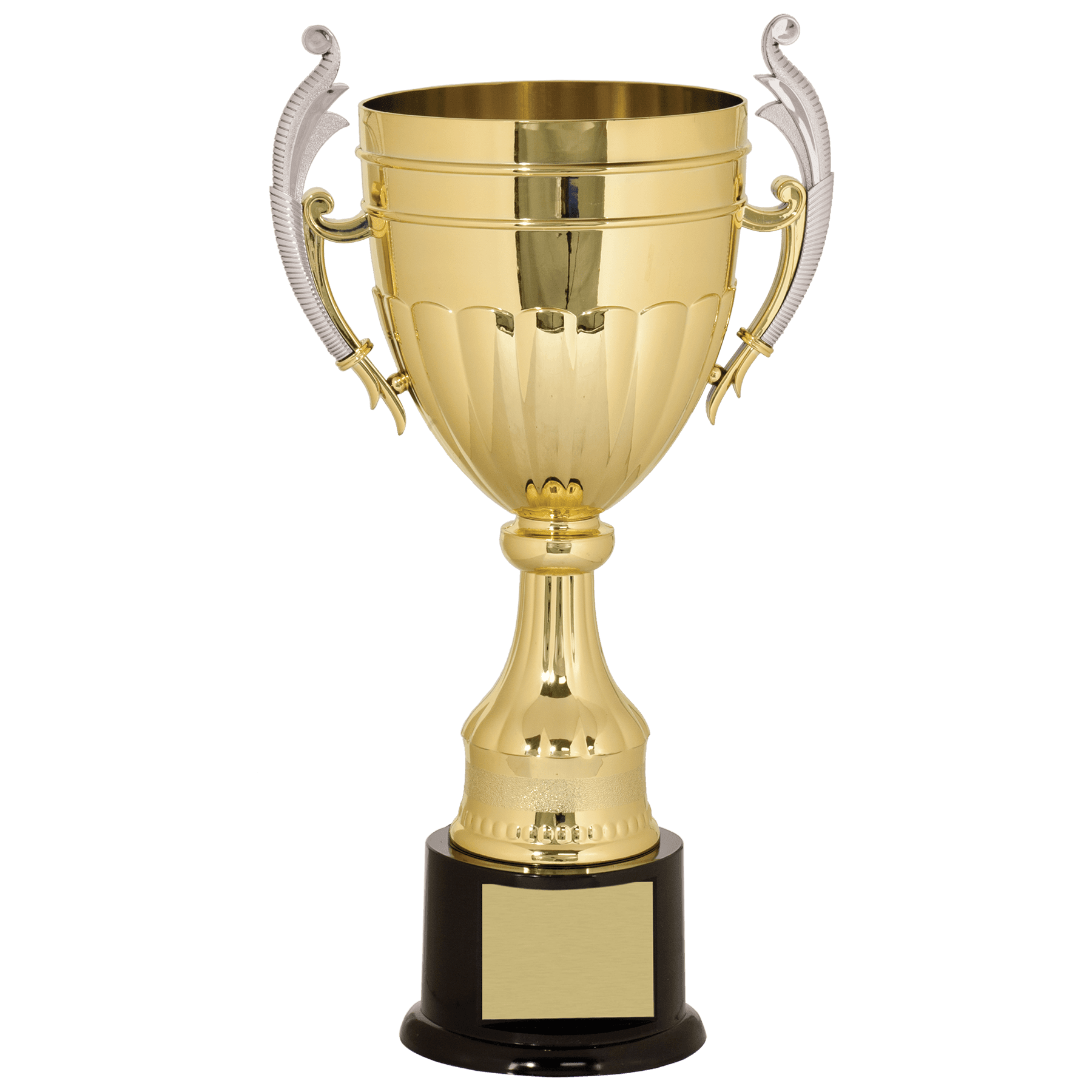 Example of large champion trophy