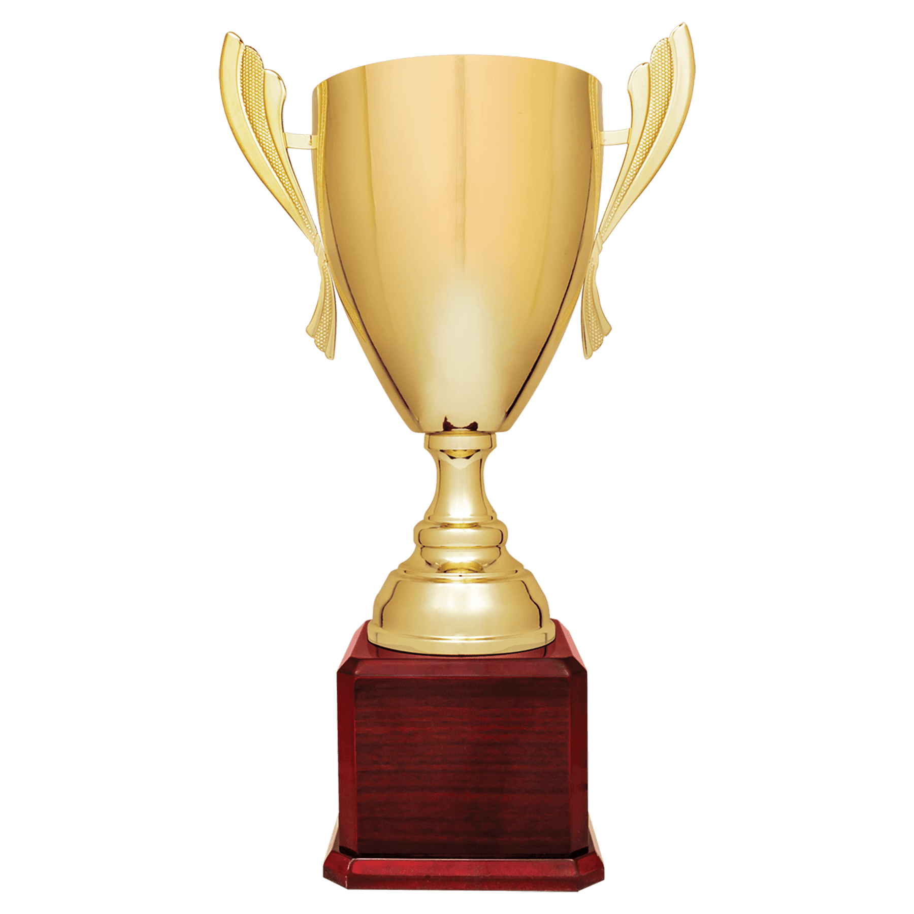 Example of victory trophy